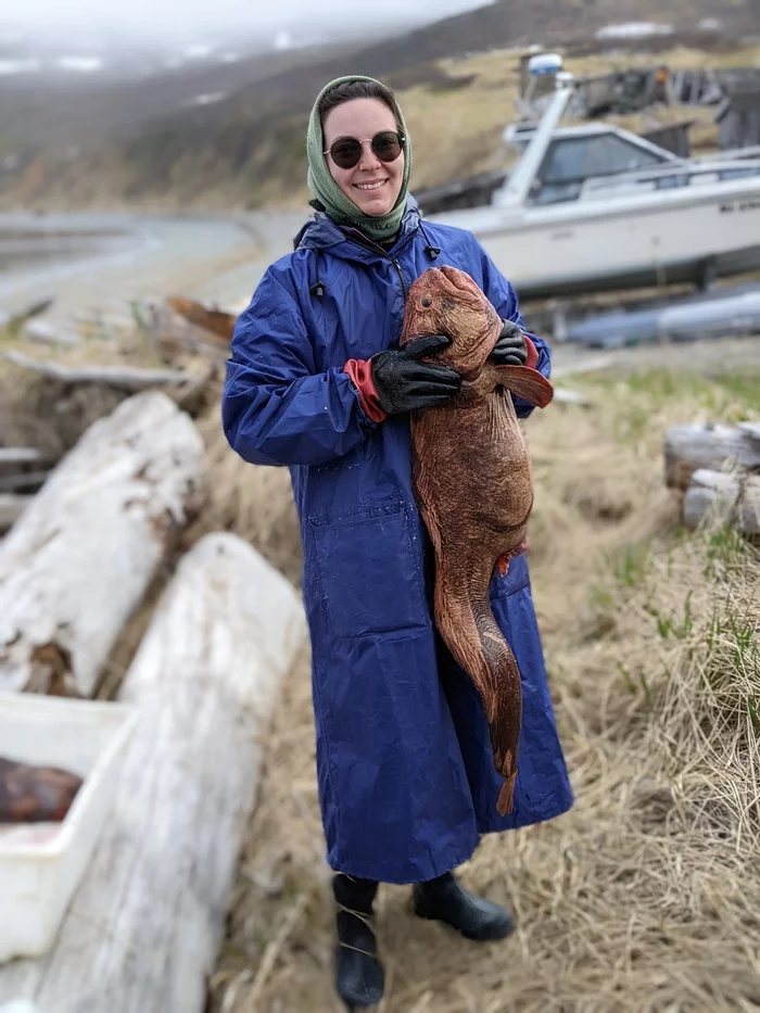 Love - My, Marine life, A fish, Magadan, Sea of ??Okhotsk, Nature