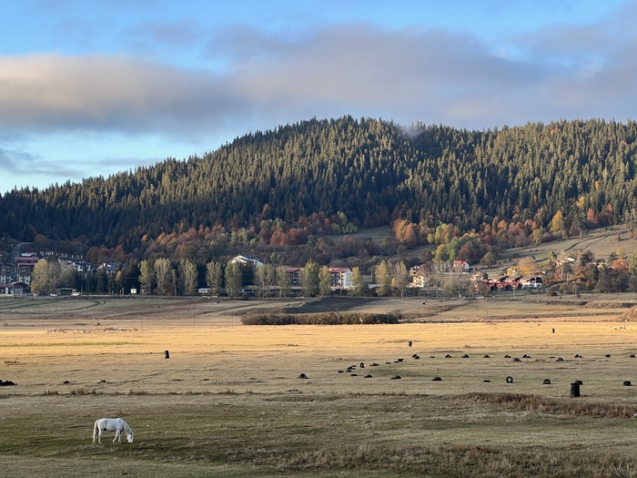 ���������, ������