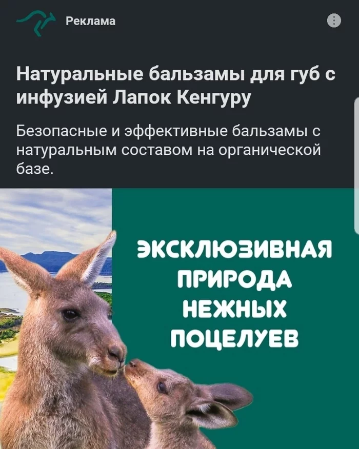 Suddenly - Creative advertising, Kangaroo, Funny