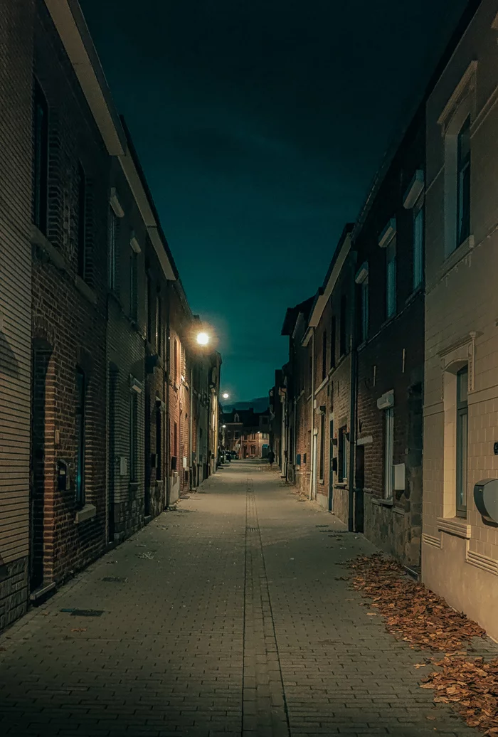 lane - The photo, Night, Town, Night city, Jogging, Flanders