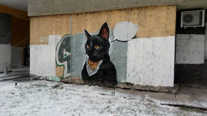 Cat banned - Russia, Repeat, Story, cat, Street art, Yekaterinburg