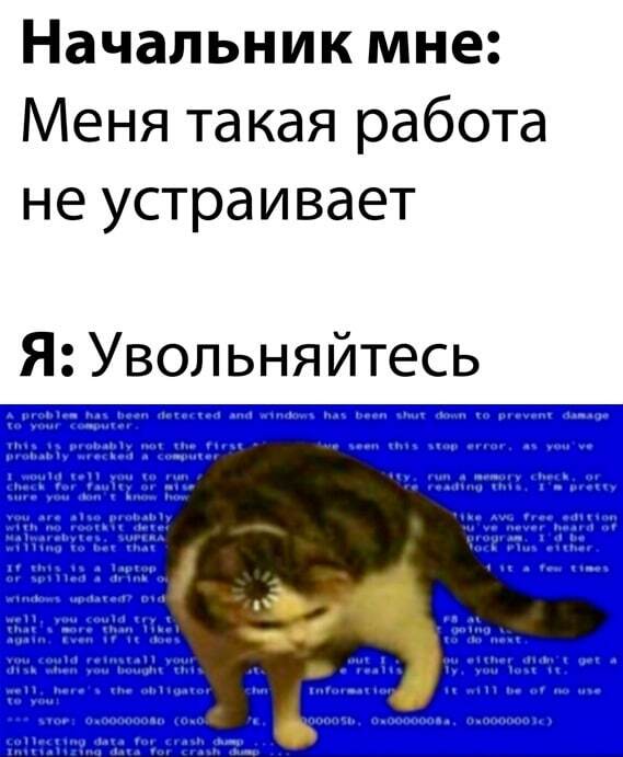 Вас никто не держит! - Юмор, Работа, Увольнение, Начальство, Картинка с текстом, Кот