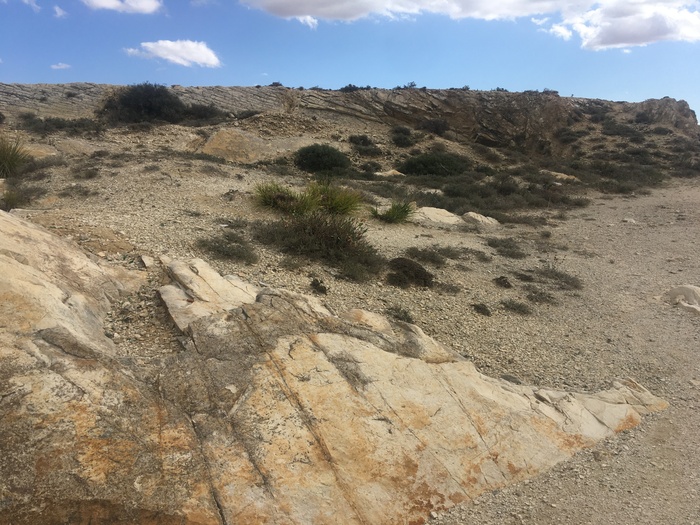 Сквозь закрытые границы...