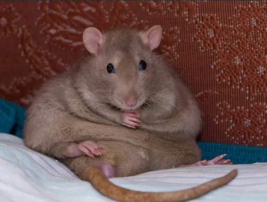 Наташ, принеси трусы!! И пульт