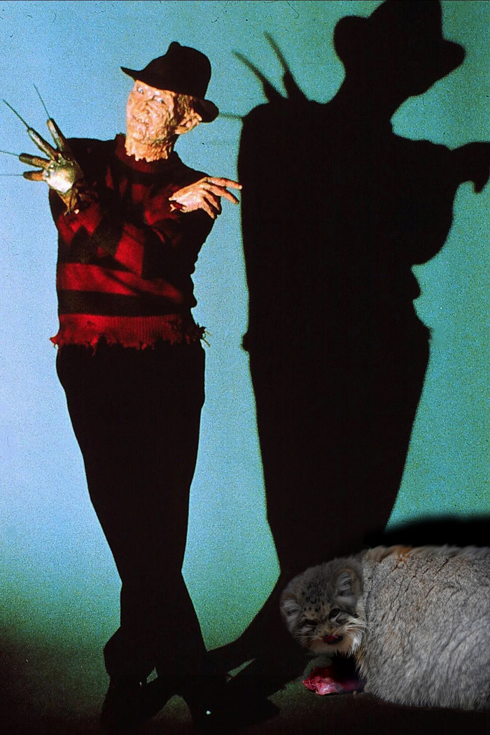 Добрый дядя Фредди заботится о котиках