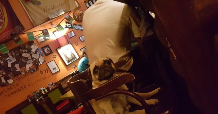 ��������� ������� � ����