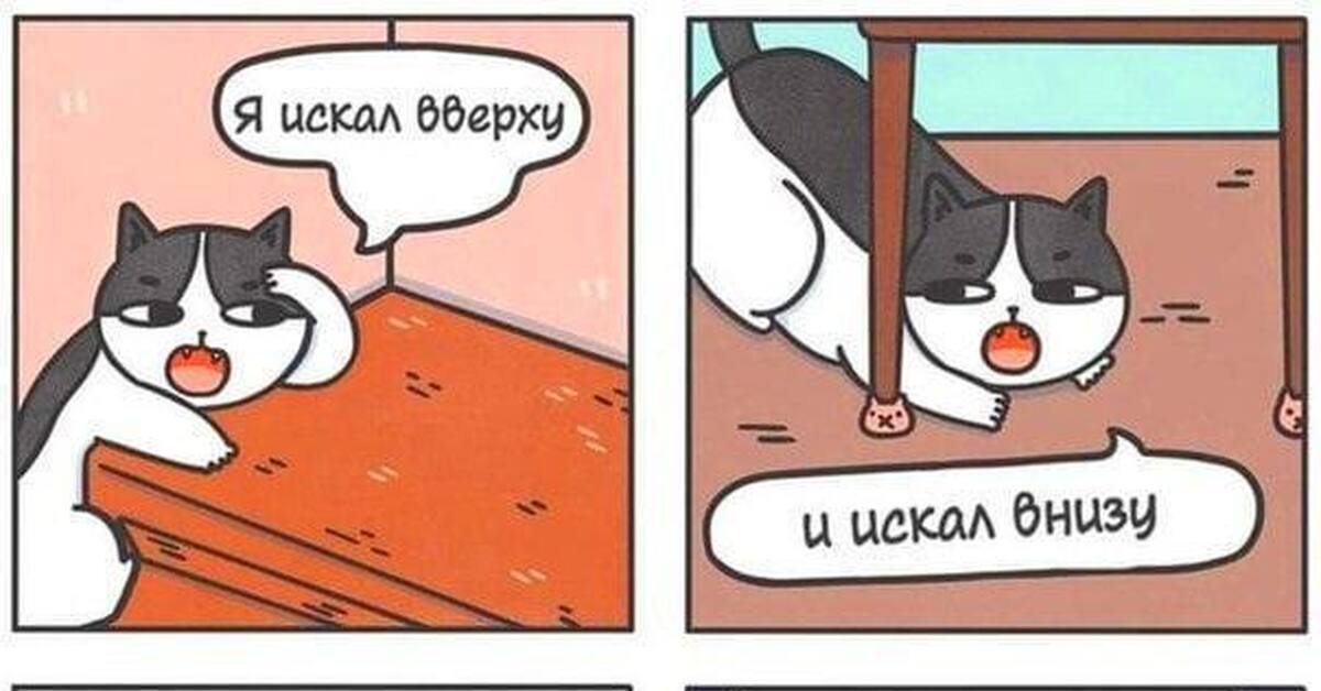 На важный случай. Котики на случай важных переговоров. Мемы с котами для важных переговоров. Пикчи на случай важных переговоров коты. Милые картинки для переговоров.