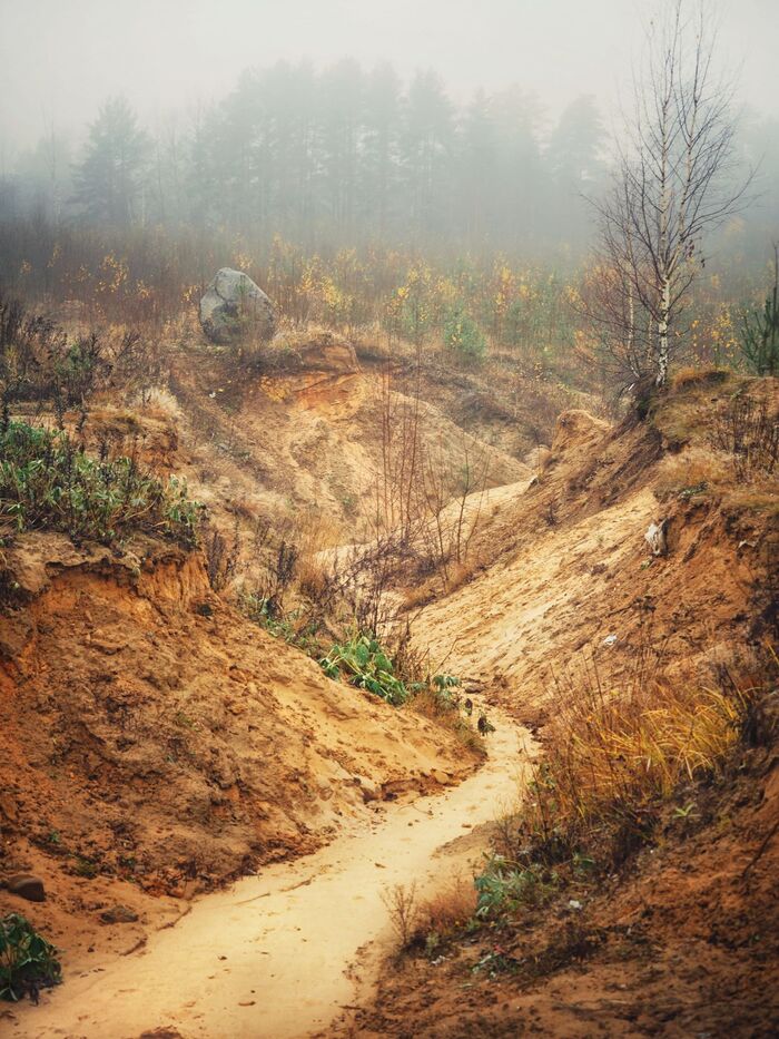 Winding ravine in the fog - My, Travels, Fog, Leningrad region, Landscape, A rock, Folklore, Autumn