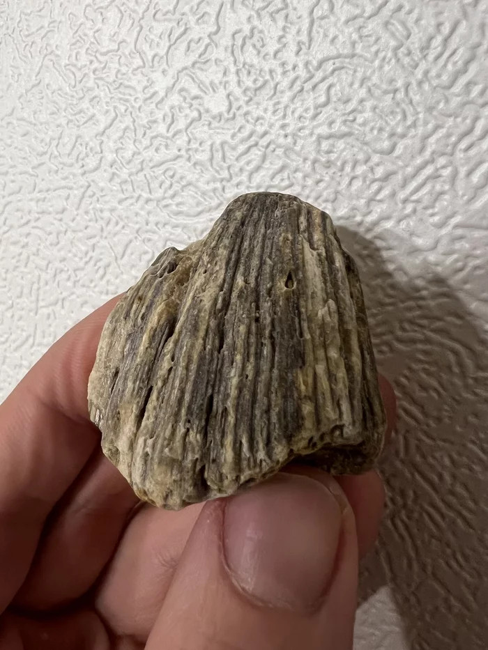 Found an unusual stone - My, A rock, Archeology, What's this?, Minerals, Longpost
