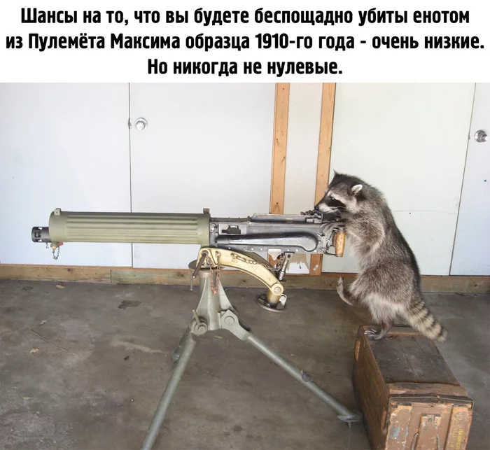 Keep in mind - Humor, Picture with text, Weapon, Raccoon, Machine gun