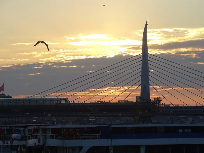 Golden Horn Bridge in Istanbul - My, The photo, Istanbul, Bridge, The mountains, Seagulls