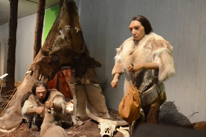 Love, not war - Neanderthal, Paleontology, Extinct species, London, Museum, Great Britain, Hypothesis, Paleoanthropology, Dissolution, Disappearing, Copy-paste