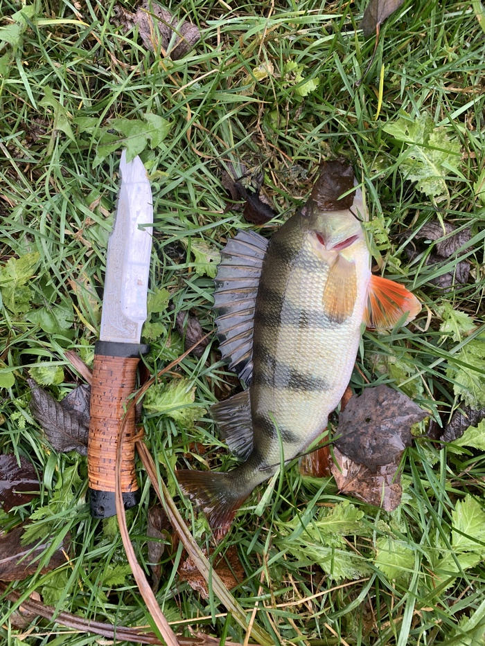 Осенний разбойник