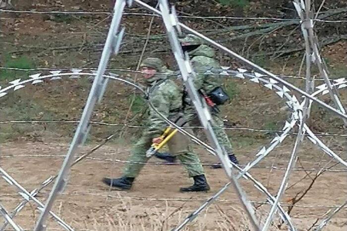 Польша начала строительство ограждения из колючей проволоки на границе с Россией - Кросспостинг, Pikabu publish bot, Политика, Польша, Граница