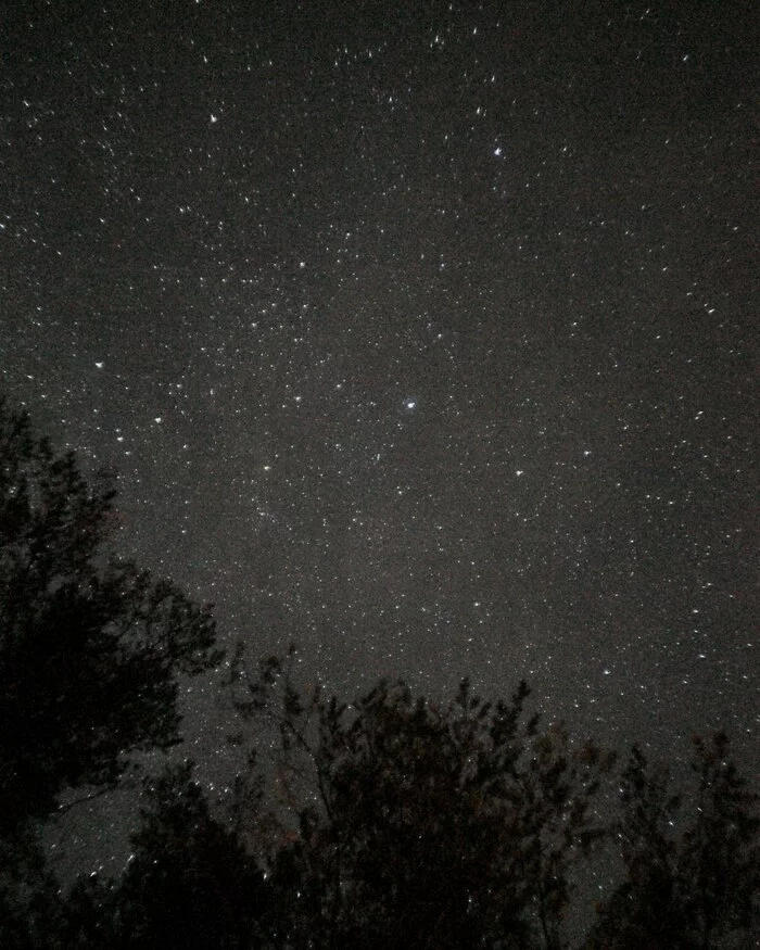 Starry sky in flax area - My, The photo, Stars, Starry sky, Sony, Minolta