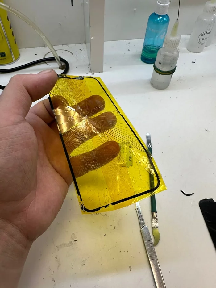 Today the guest of our program IPhone 11 Pro Max - Apple, Plywood, People, Ремонт телефона, Society, Longpost