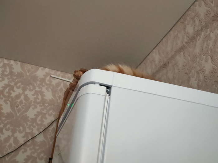 �������� ��� ������ ���