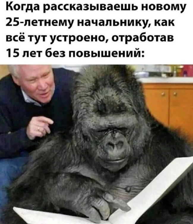     , , , 