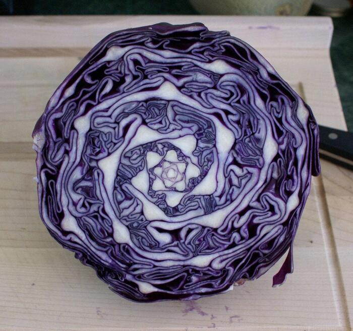 Природные фракталы