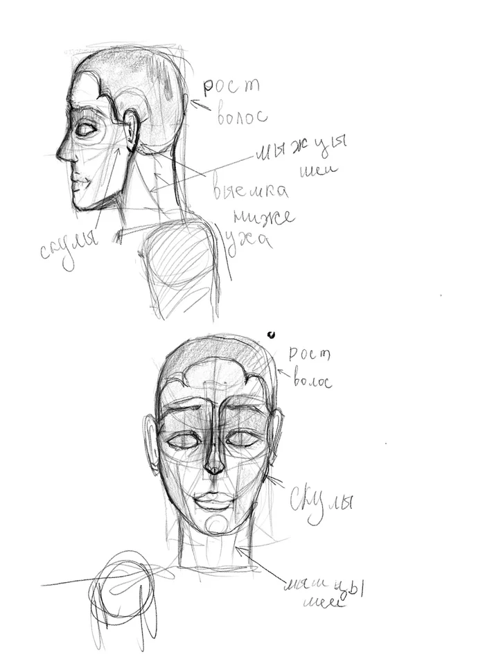 Figure 2 on iPad Pro 2020. Figure 2 on iPad Pro 2020 - Images, Wh Art