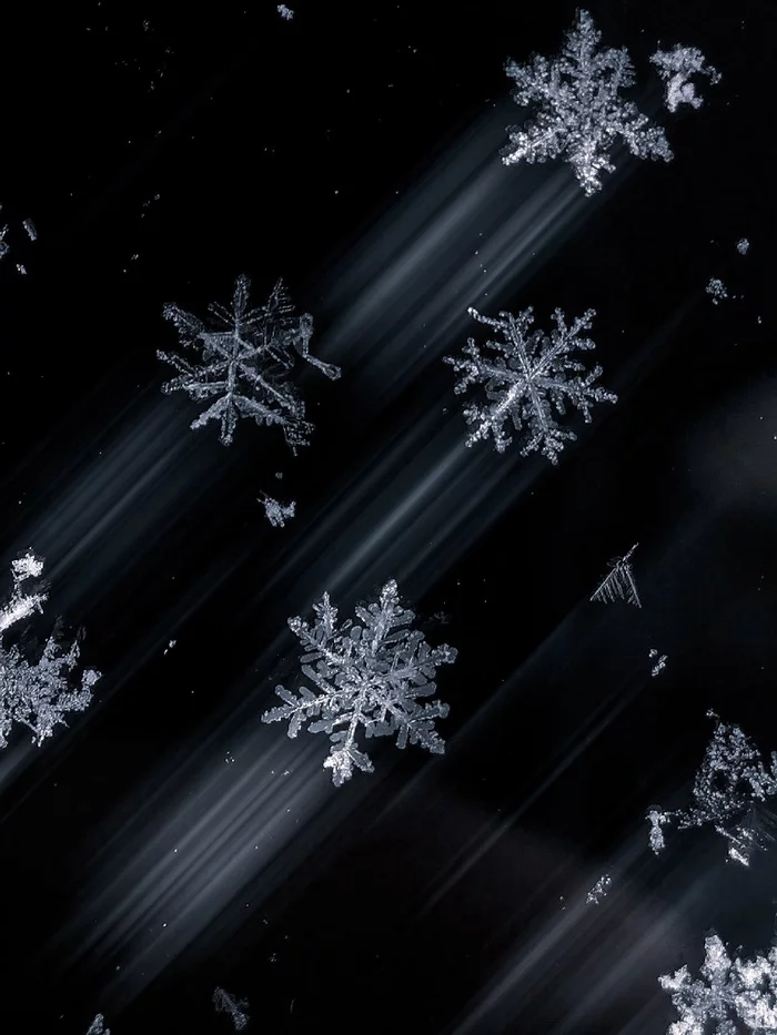 I share ways to photograph snowflakes on a camera and on a mobile phone) - My, Macro photography, The photo, Nature, The nature of Russia, Photography lessons, Manual optics, Macro rings, Longpost