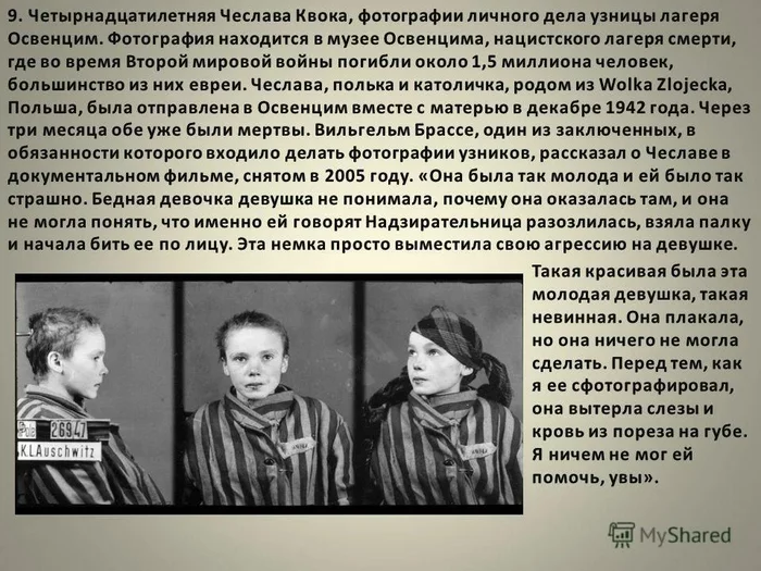 Мерзко, очень мерзко - Негатив, Повтор, Вторая мировая война, Мат, Мерзость, Печет, Telegram, Фотография, Освенцим