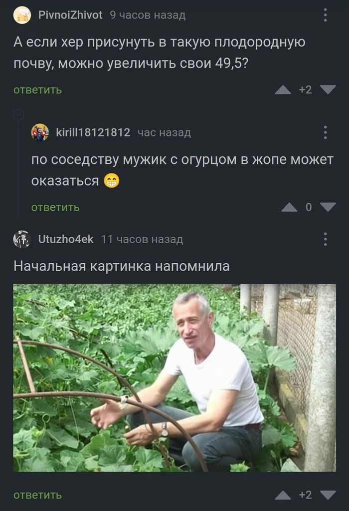 Reply to the post Harvest - Carrot, Harvest, Asians, Сельское хозяйство, Cucumbers, Screenshot, Comments on Peekaboo