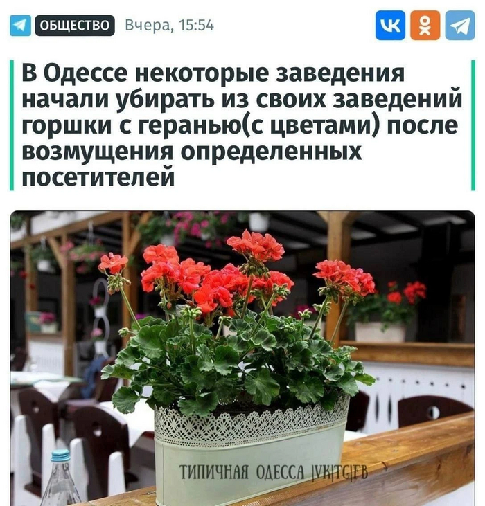 Тарас и Оксана с геранью