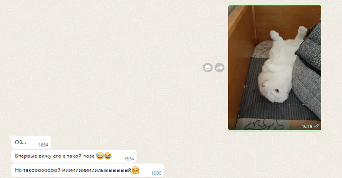 Ответ на пост «Когда ты айтишник в нормальной конторе и работаешь на удалёнке»