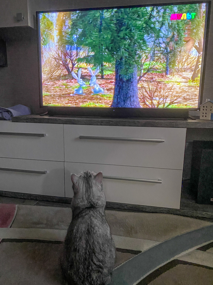 ��������� ����� )