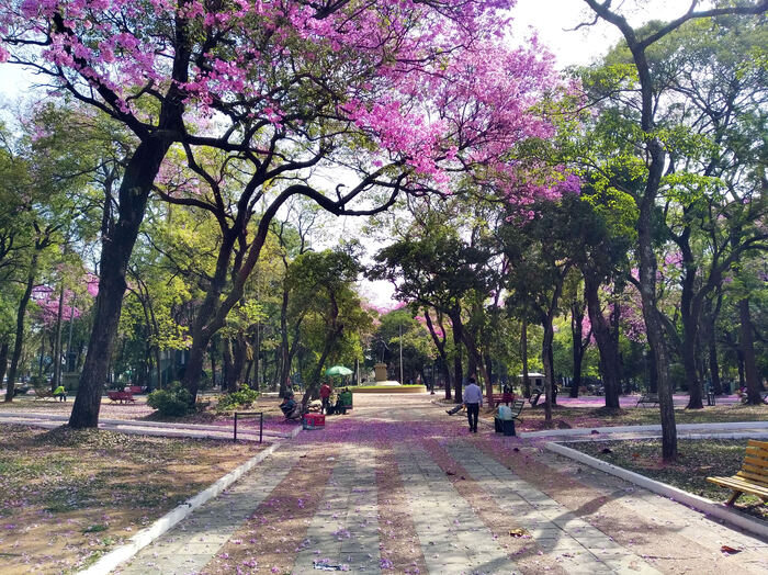 Парагвай. Так ли плохо живут в одной из беднейших стран Южной Америки? Туризм, Путешествия, Жизнь за границей, Южная Америка, Латинская Америка, Парагвай, Длиннопост Парагвай. Так ли плохо живут в одной из беднейших стран Южной Америки? Туризм, Путешествия, Жизнь за границей, Южная Америка, Латинская Америка, Парагвай, Длиннопост