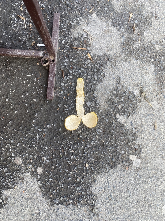 А с чего начинается ваш понедельник?)