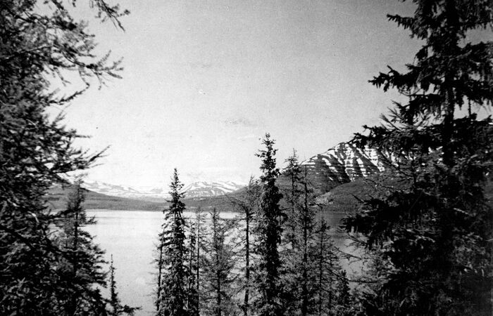 Как в 1940-е годы в Норильске лечили цингу Норильск, История СССР, Лама, Медицина, Цинга, Заполярье, Длиннопост Как в 1940-е годы в Норильске лечили цингу Норильск, История СССР, Лама, Медицина, Цинга, Заполярье, Длиннопост