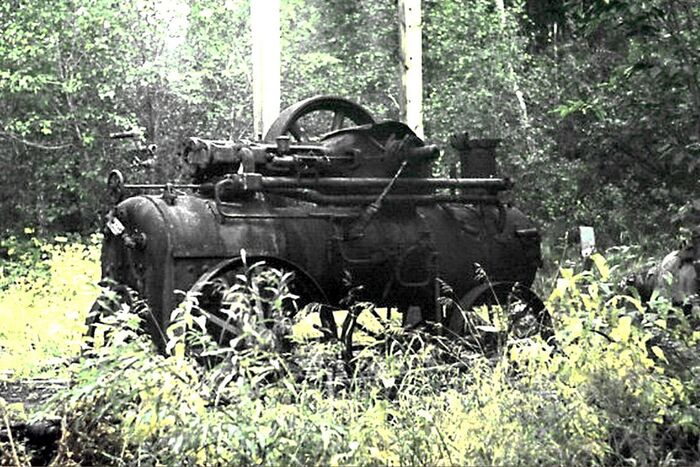 Как в 1940-е годы в Норильске лечили цингу Норильск, История СССР, Лама, Медицина, Цинга, Заполярье, Длиннопост Как в 1940-е годы в Норильске лечили цингу Норильск, История СССР, Лама, Медицина, Цинга, Заполярье, Длиннопост