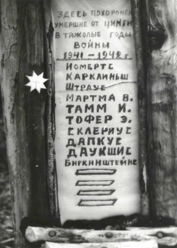 Как в 1940-е годы в Норильске лечили цингу - Норильск, История СССР, Лама, Медицина, Цинга, Длиннопост