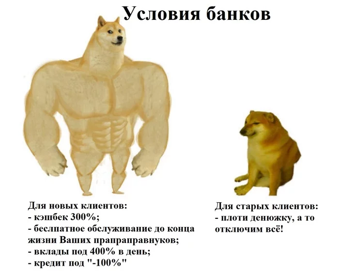 Banking conditions for clients - My, Bank, Clients, Customer focus, Comparison, Memes, Doge, Picture with text