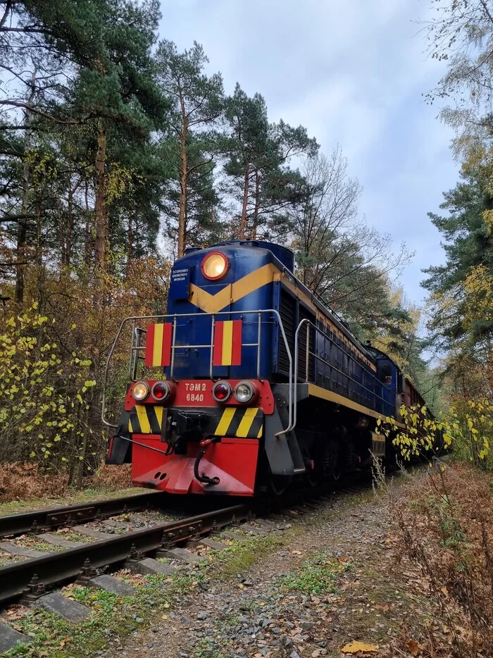 Somewhere in the woods of the Moscow region - My, Railway, Locomotive, Tem, Tam-2, Forest, Autumn, Locomotive