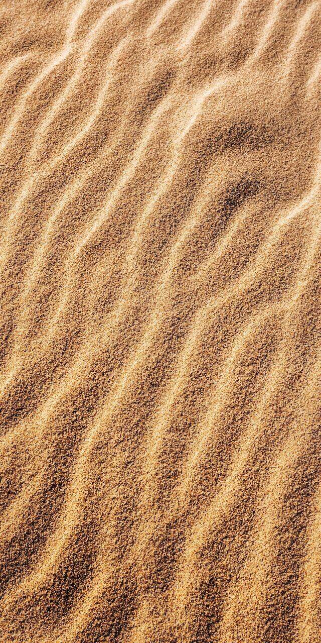 Only a quarter of the Sahara desert is covered with sand!! - Around the world, Research, Scientists, The science, Informative