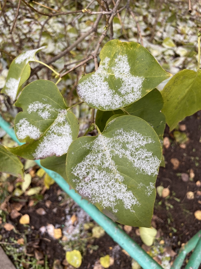 ������ 2022