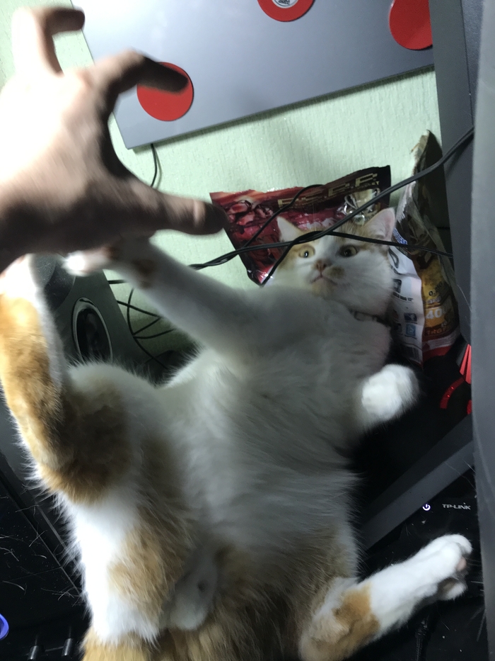        ,  , 