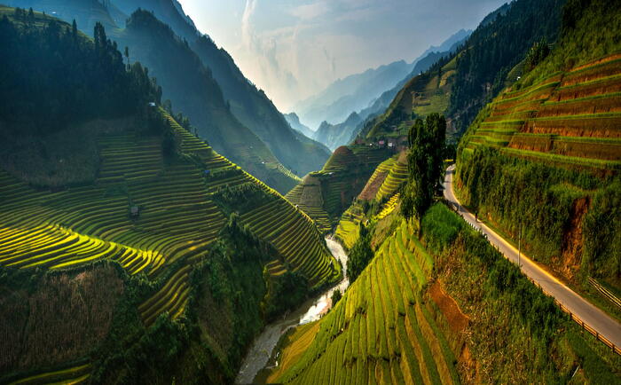 Mountain terraces of Mu Cang Chai in Vietnam - Ecology, Terrace, Vietnam, Сельское хозяйство, beauty