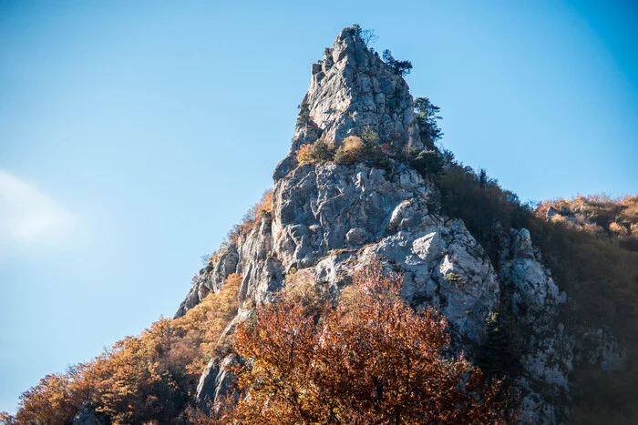 Montenegro: cats and nature - My, The photo, The mountains, Nature, Forest, cat, Montenegro, Longpost