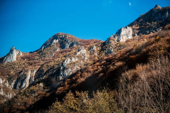 Montenegro: cats and nature - My, The photo, The mountains, Nature, Forest, cat, Montenegro, Longpost