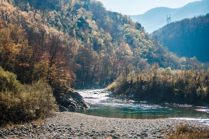 Montenegro: cats and nature - My, The photo, The mountains, Nature, Forest, cat, Montenegro, Longpost