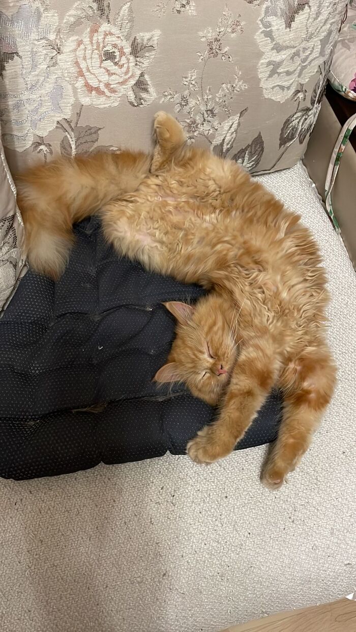    Firefox  , , , , 
