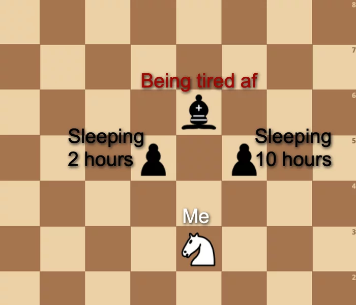 Being tired from: 10 hours of sleep or 2 hours of sleep? - Humor, Chess, Picture with text