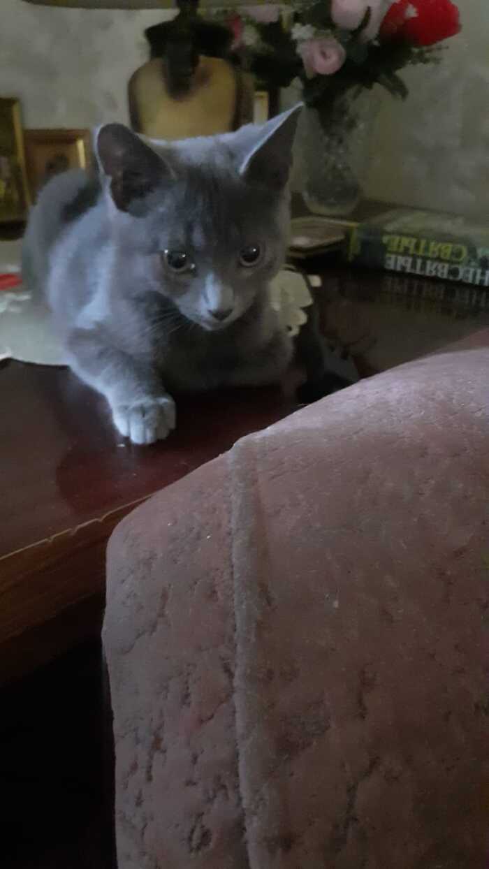  ! , -,  ,   , , ,  