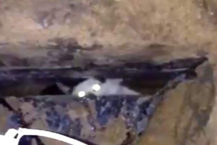 ������ 2