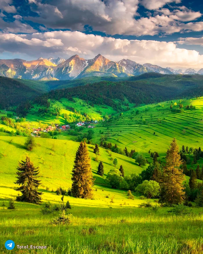 Slovakia - The photo, Forest, The mountains, Slovakia, Sky, Clouds