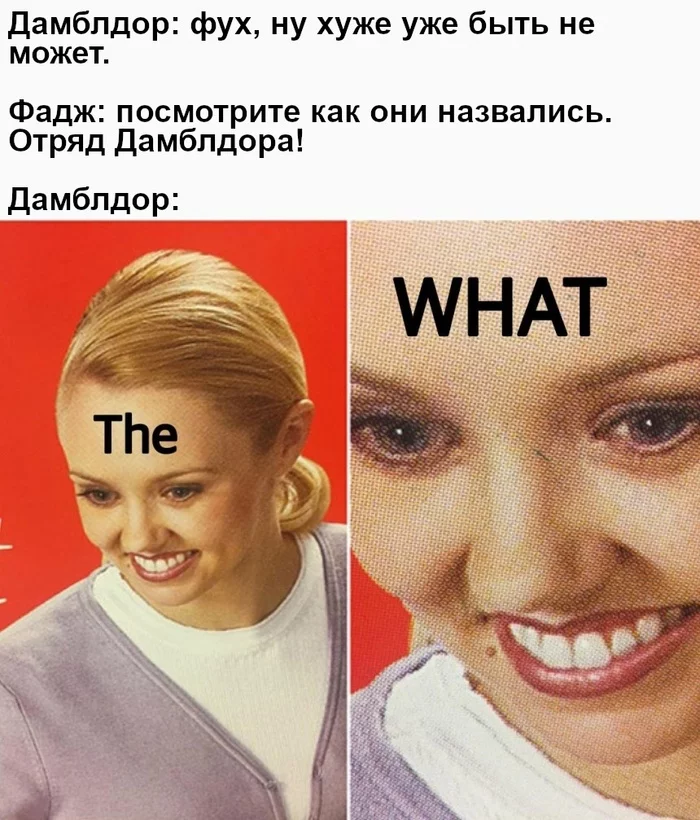 The WHAT? - Гарри Поттер, Гарри Поттер и орден феникса, Альбус Дамблдор, Картинка с текстом, Перевел сам